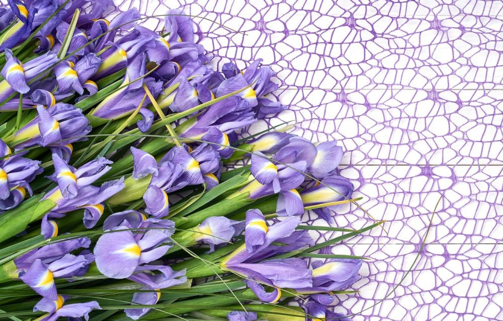 Ирисы букет