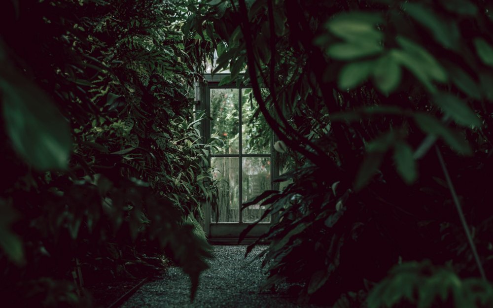 Эстетика зеленого