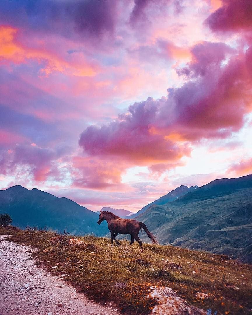 Лошади в горах