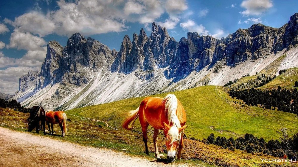 Доломитовые Альпы экскурсии