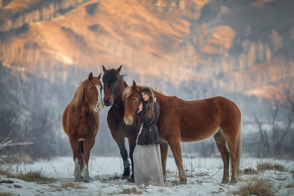Лошади в горах