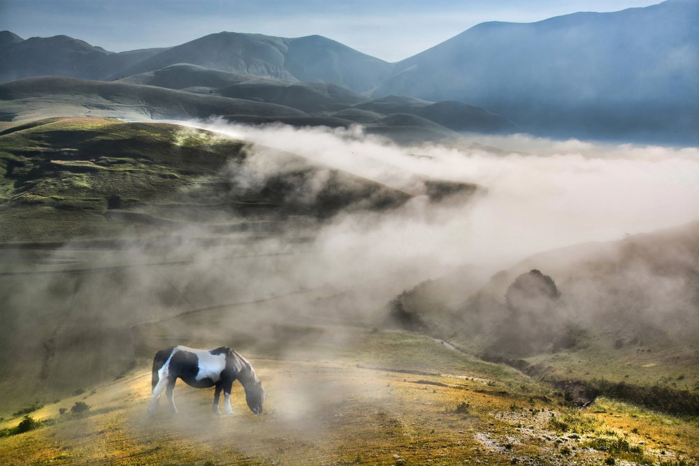 Лошади в горах