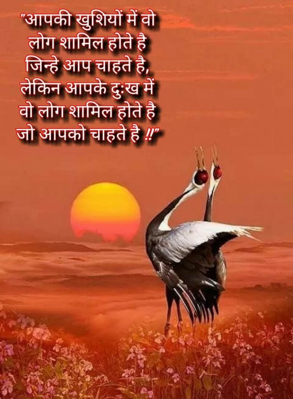 Журавли на рассвете