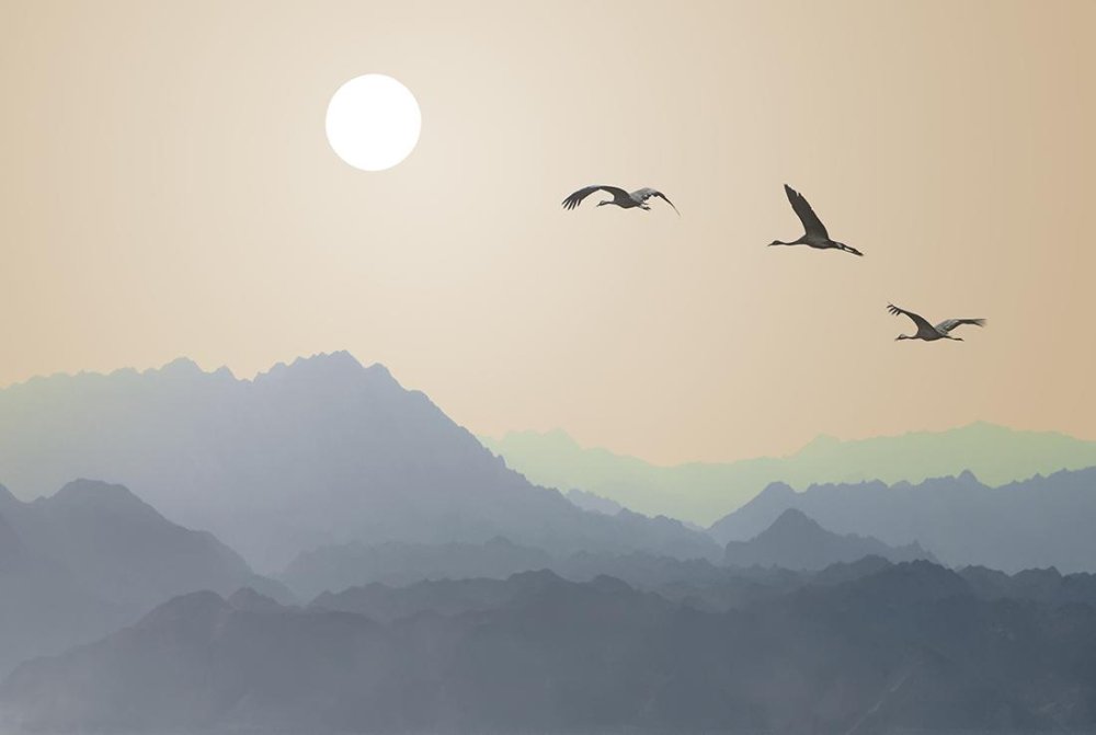 Горы в тумане и птицы