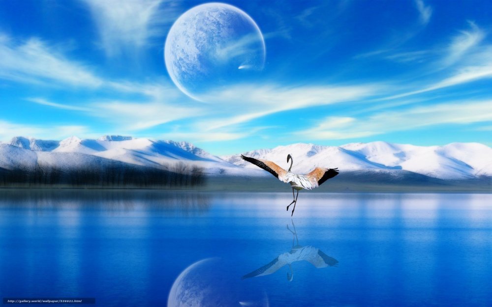 Обои заставка на рабочий стол с журавлями