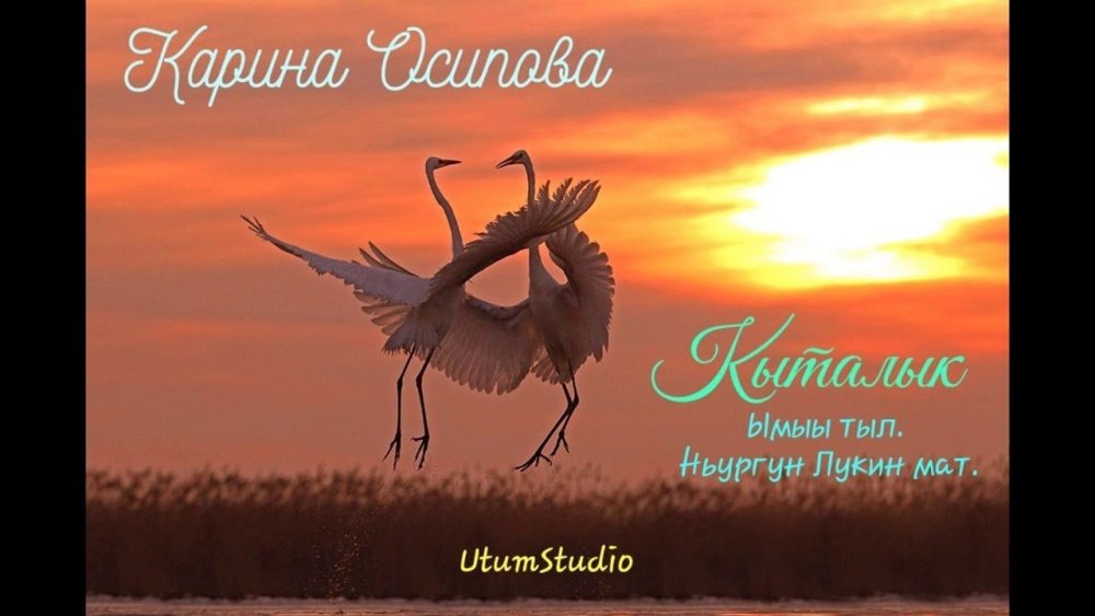 Журавли на рассвете