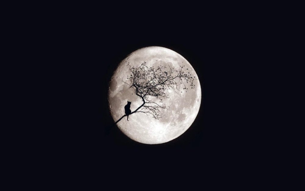 Луна на черном фоне