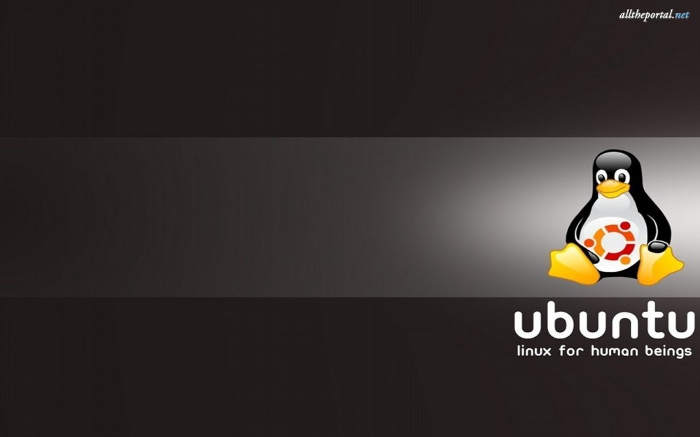 Кастомный линукс