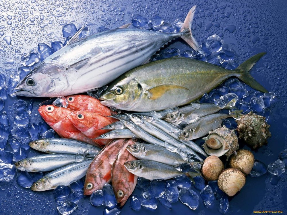 Свежемороженная Рыьба