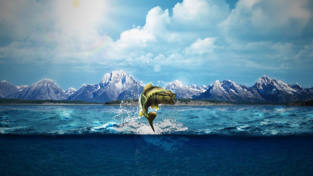 Океан и горы фон