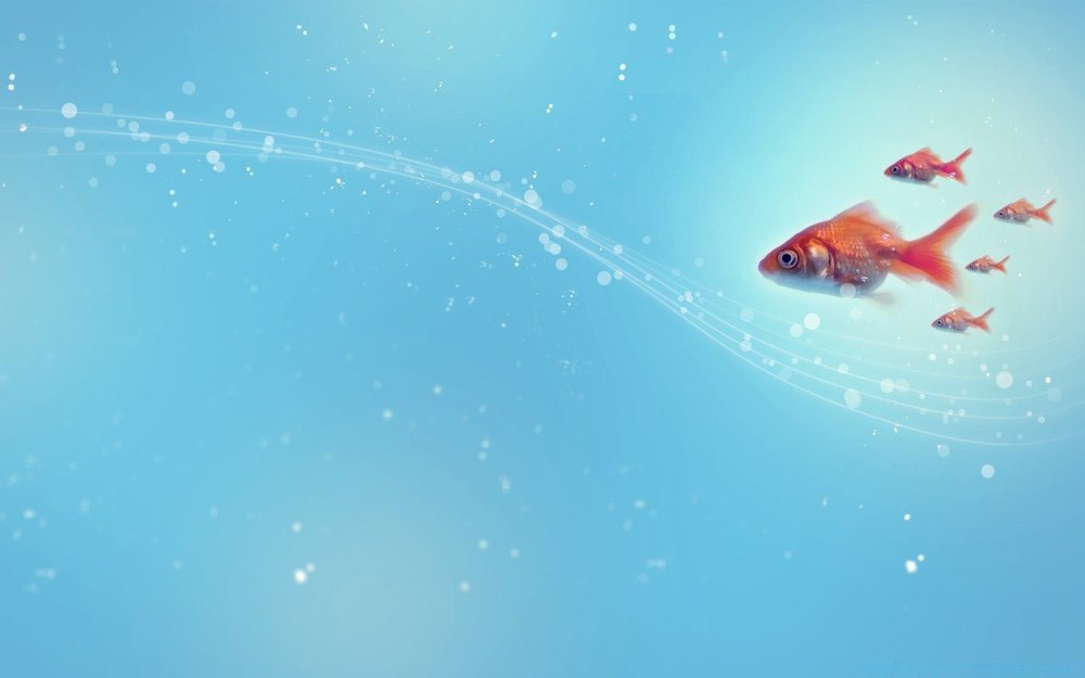 Фон для презентации рыбы