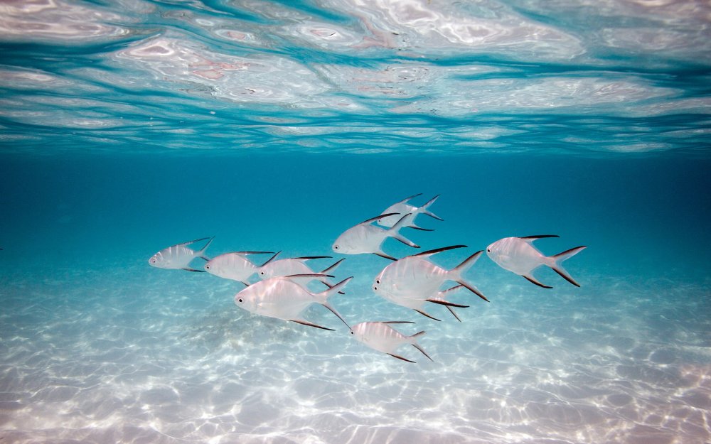 Морской заповедник Саут-Уотер-Кей,