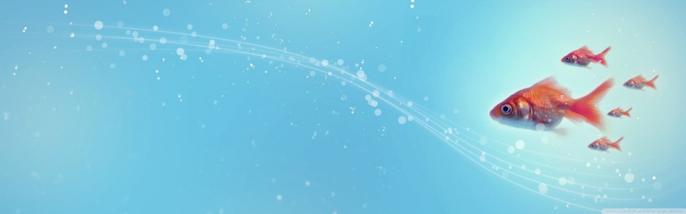 Рыба фон для баннера