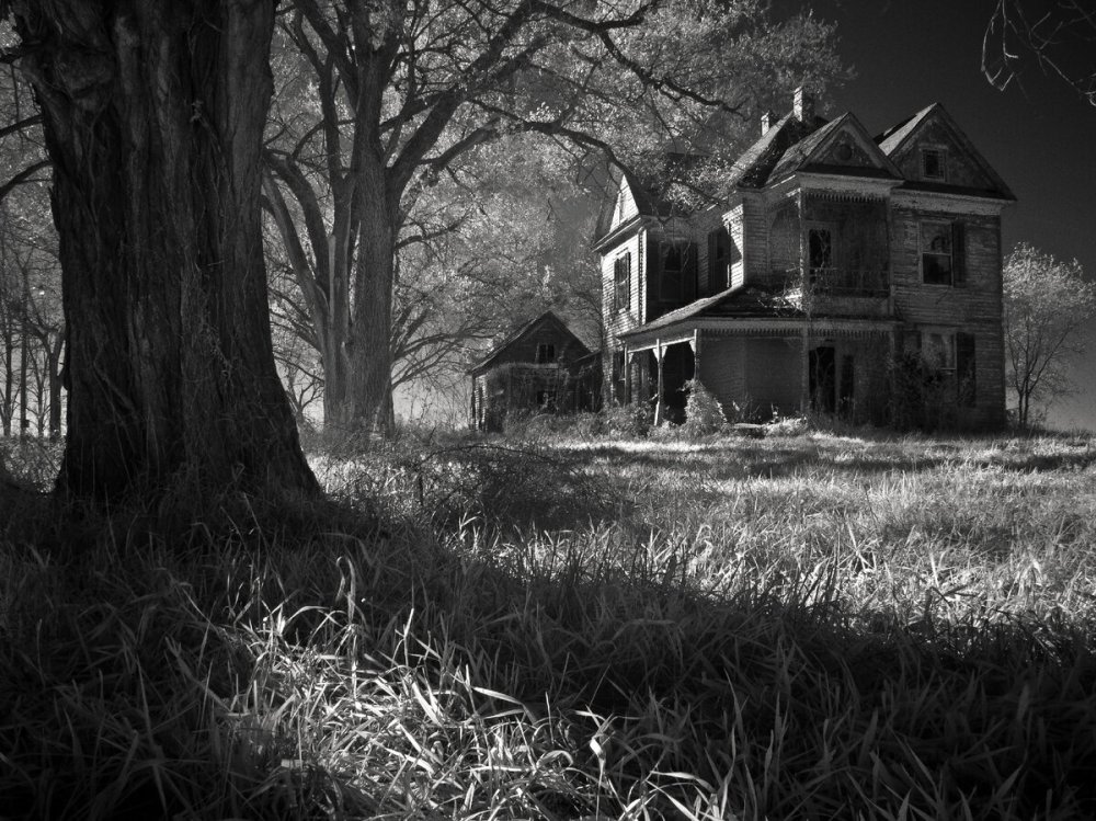 Заброшенный дом 4к