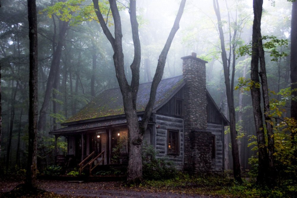 Домик на окраине леса