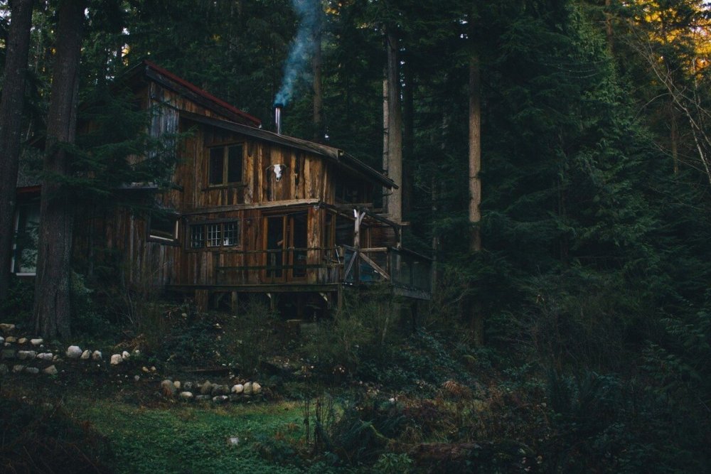 Домик в лесу