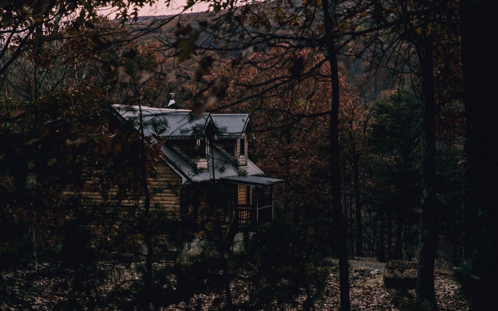 Мрачный домик в лесу