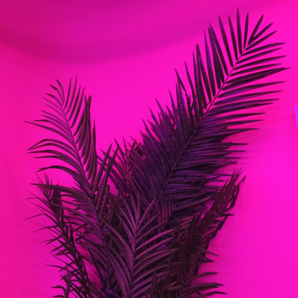 Фон для телефона Эстетика