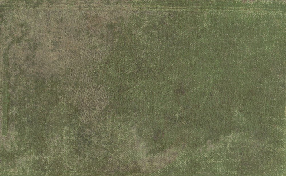 Грязно зеленый