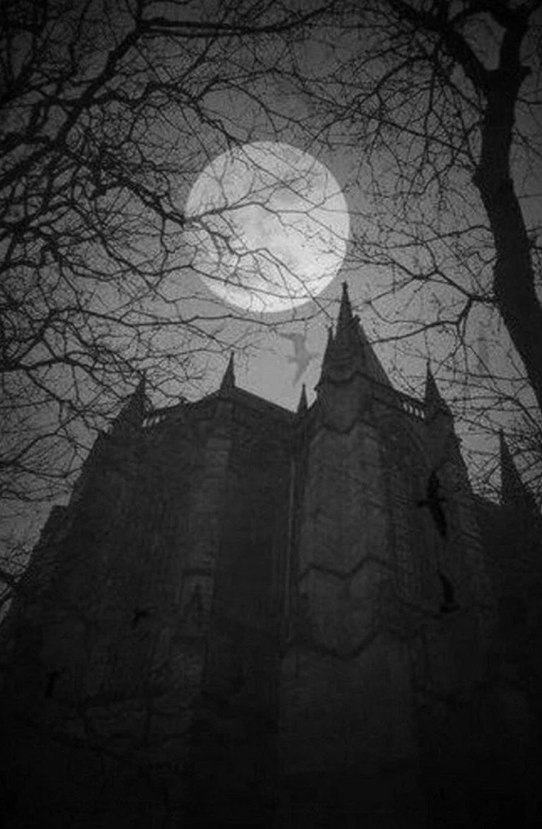 Мрачная Эстетика