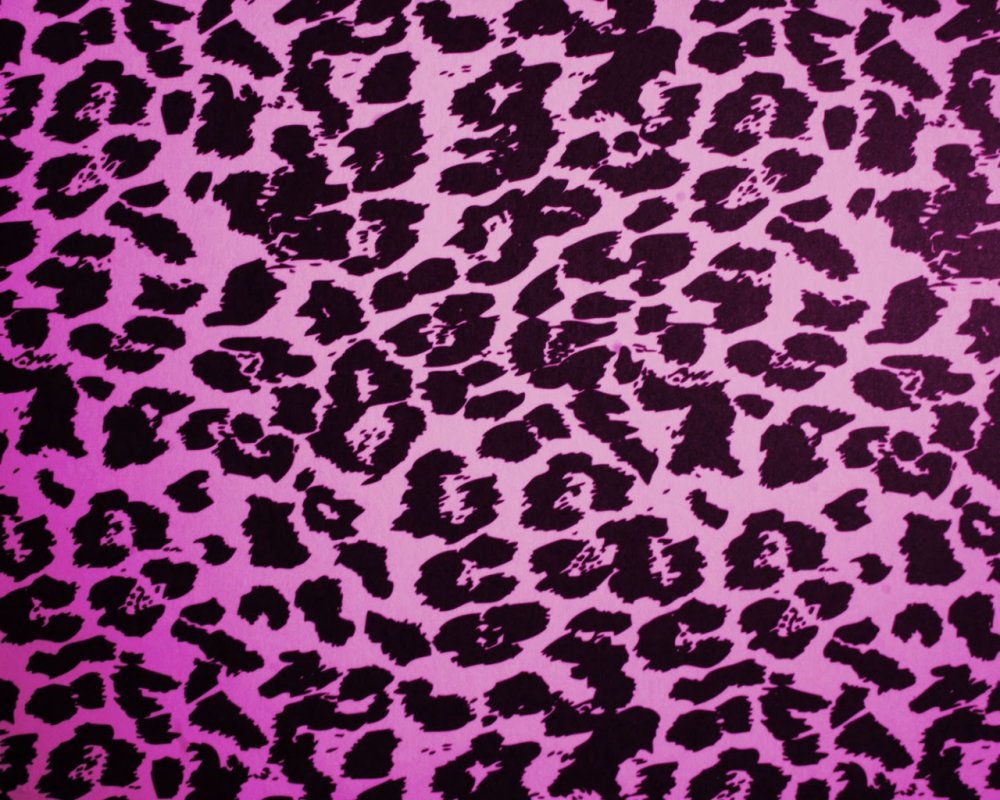 Пятна леопарда