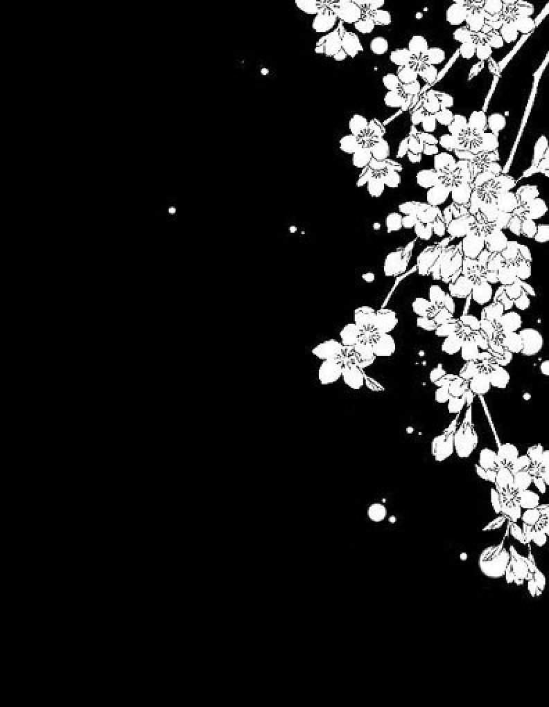 Ветка Сакуры на темном фоне