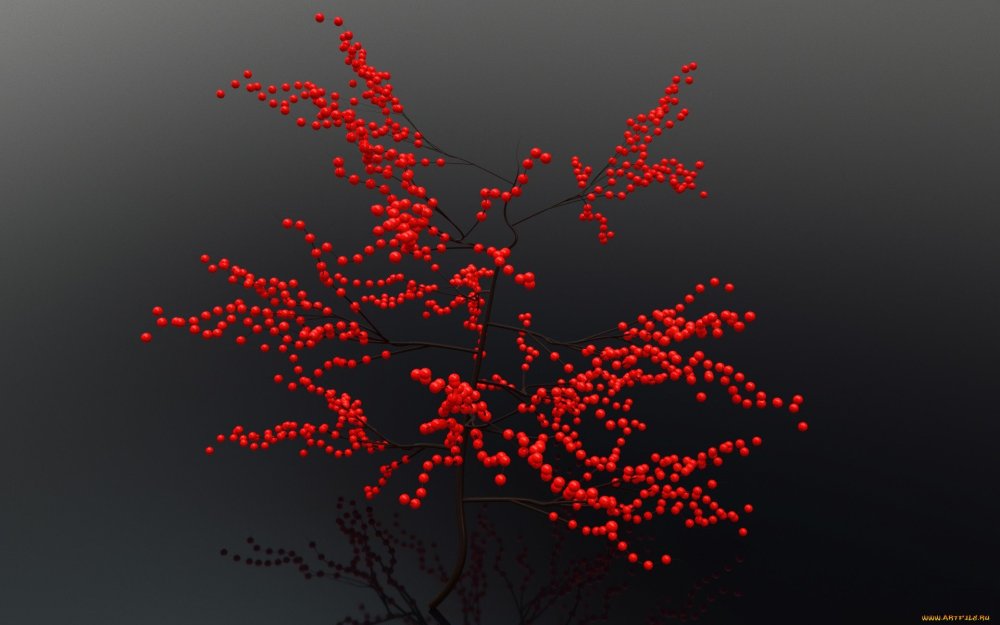 Ветка с красными ягодами