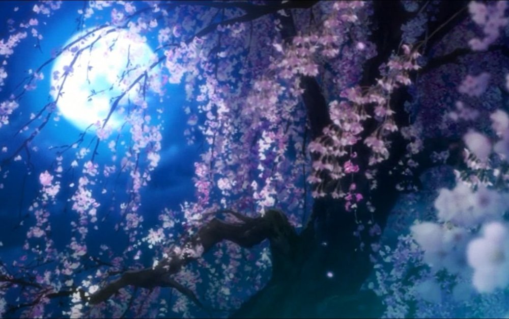 Ночная Сакура аниме