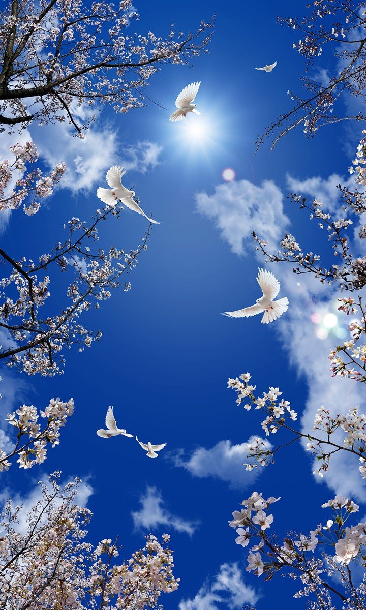 Весеннее небо с голубями