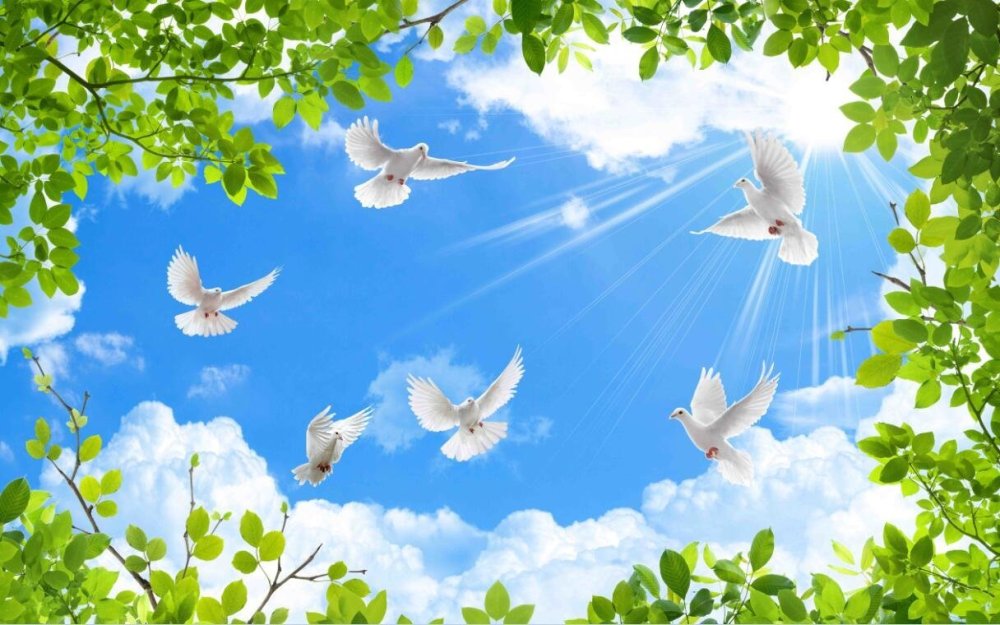 Голубое небо с голубями