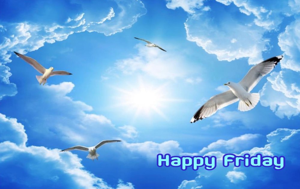 Мирное небо Журавли