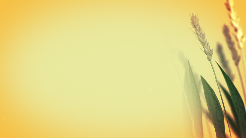 Фон для презентации нейтральный