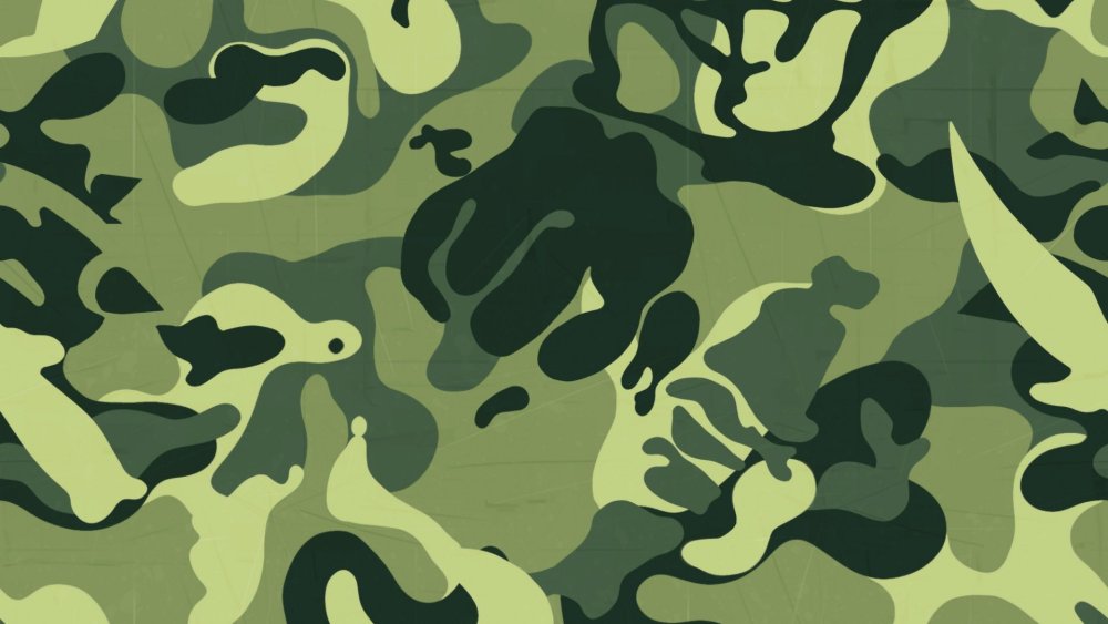 Военный камуфляж