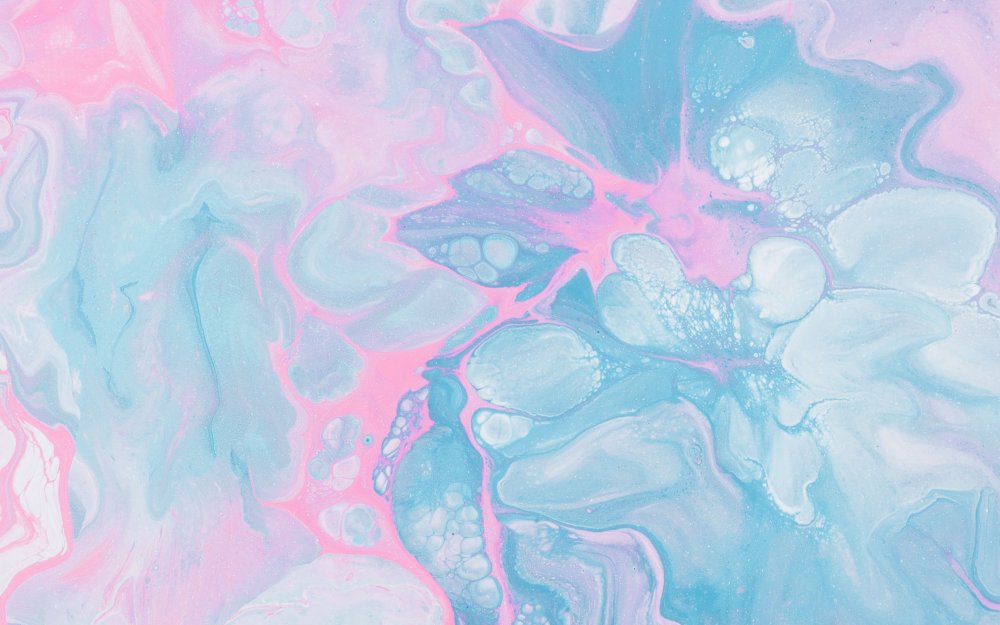 Кактус Минимализм