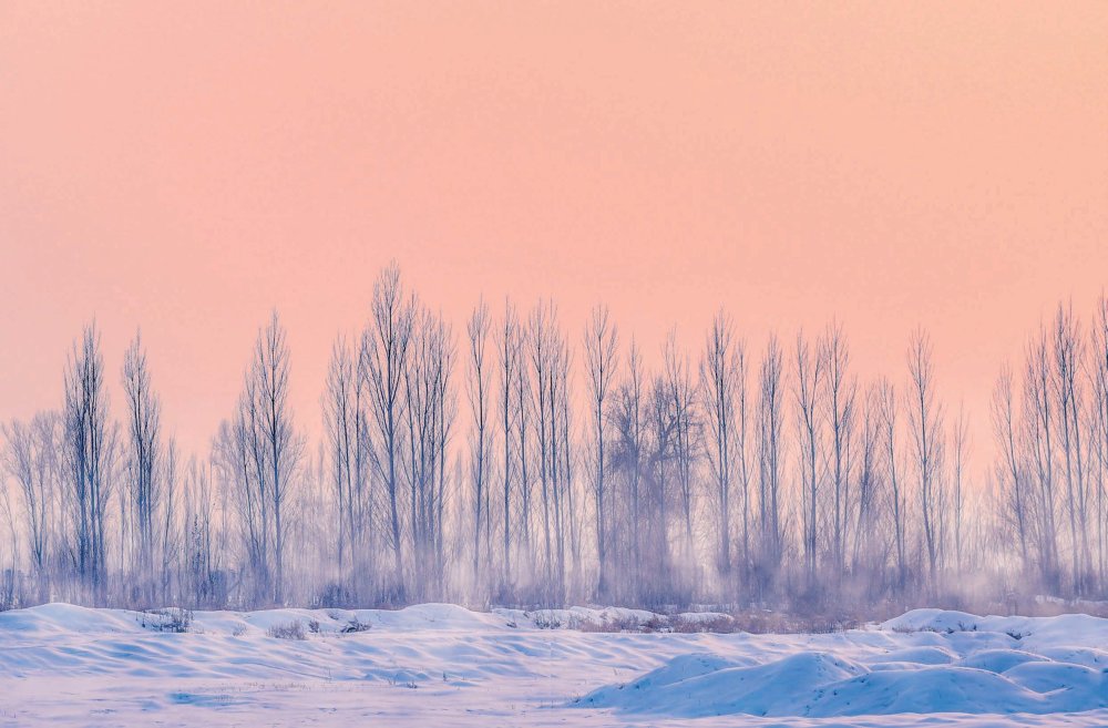 Лес зимний в пастельных тонах