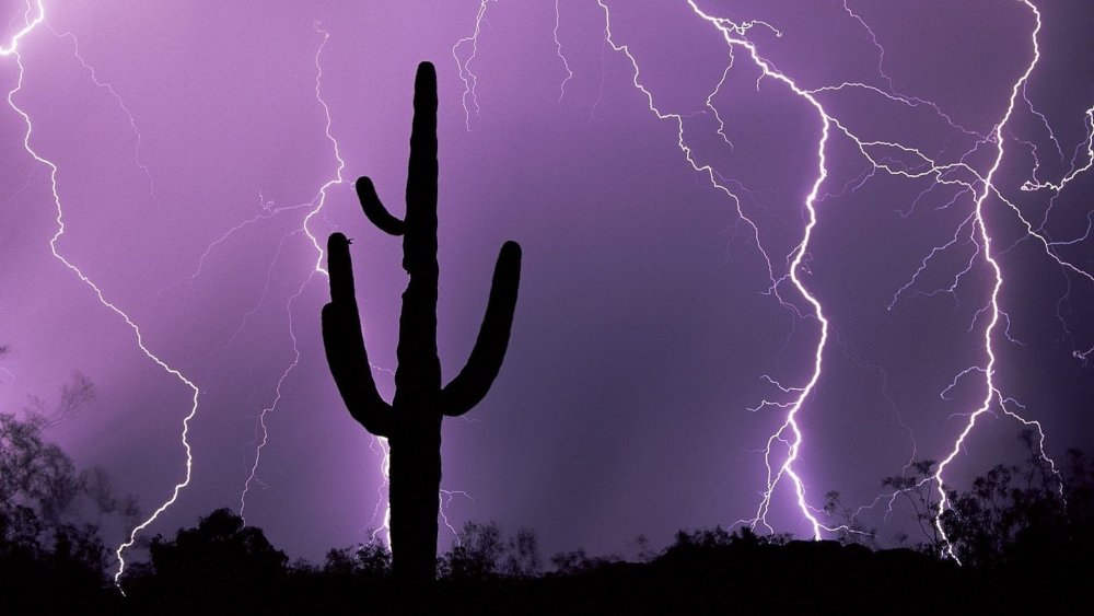 Обои молния