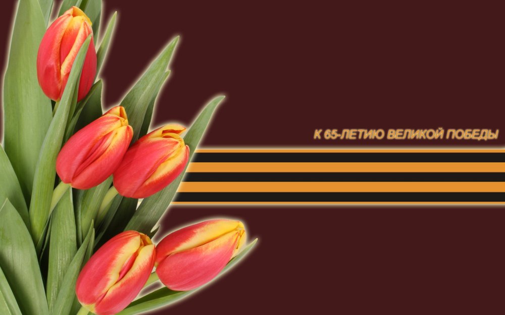 Тюльпан с днем Победы!