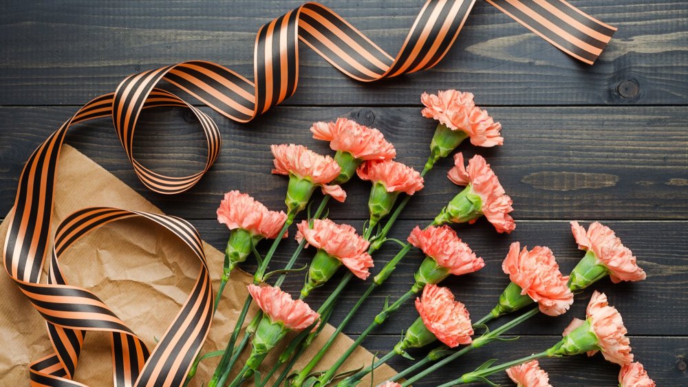 Георгиевская ленточка и гвоздики