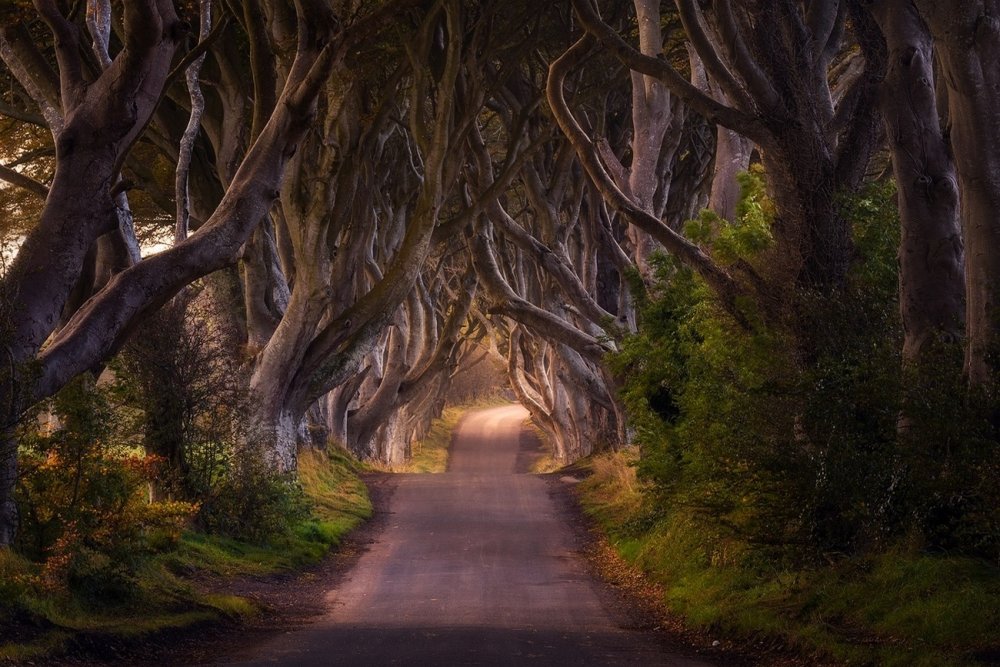 Таинственные пейзажи