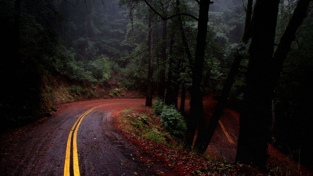 Мрачная дорога в лесу