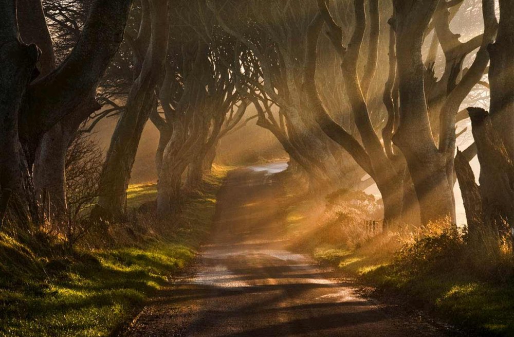 Загадочный пейзаж