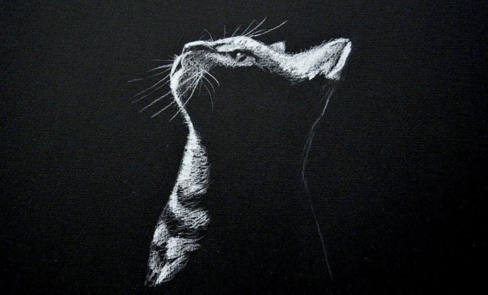 Заставка черный фон