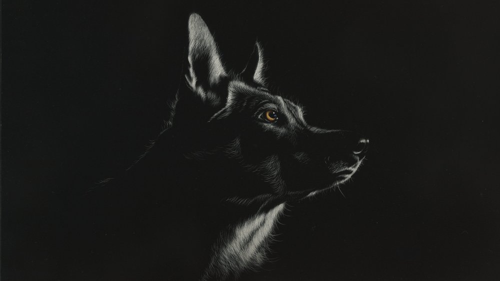 Рисунки на черном фоне