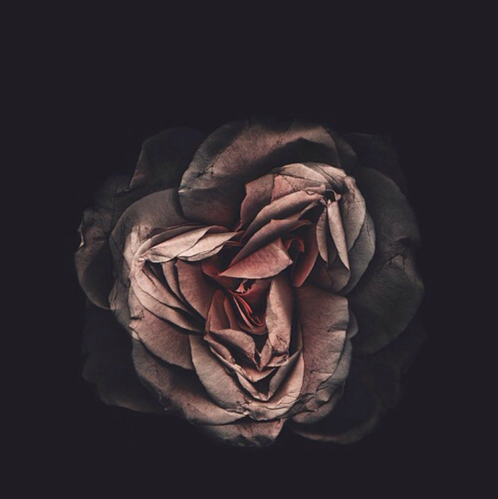 Черный фон Эстетика