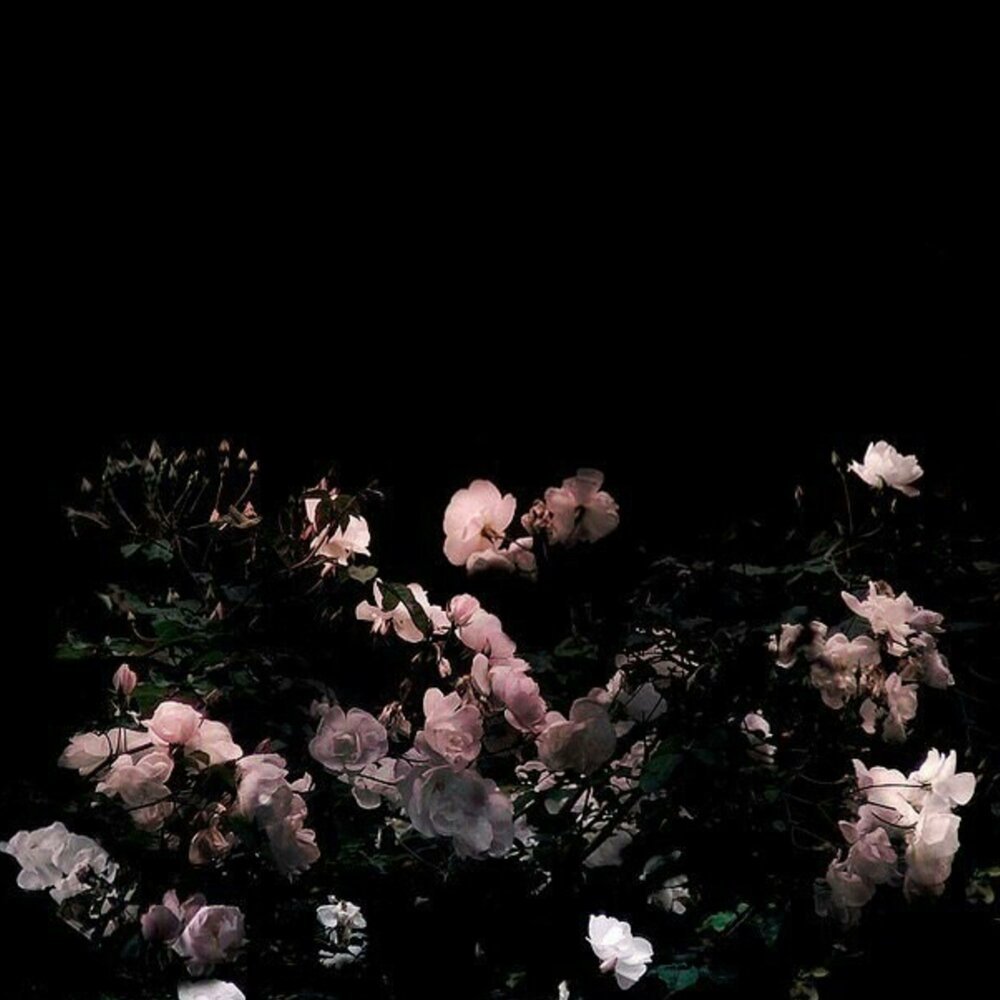 Эстетика черного