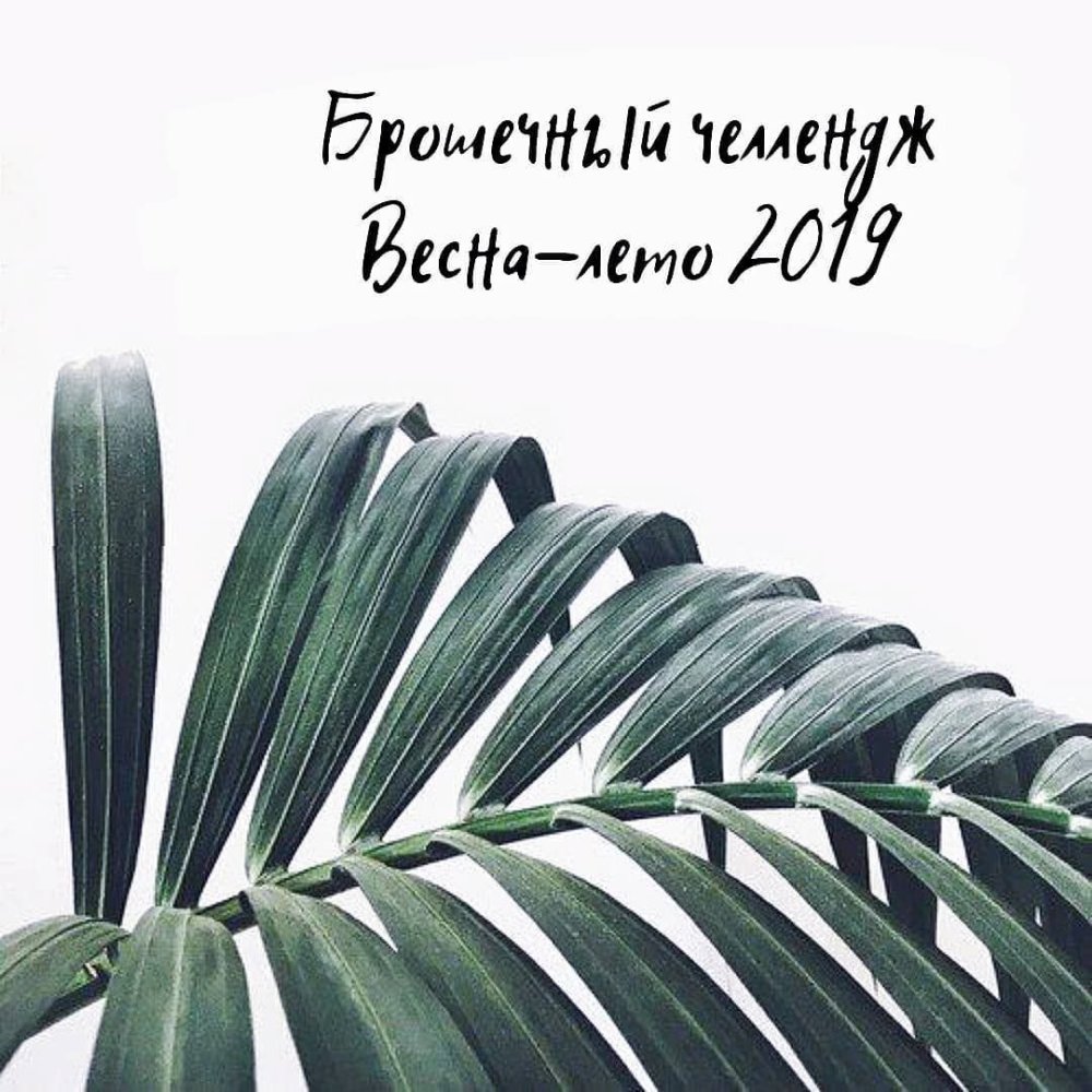 Листья Эстетика