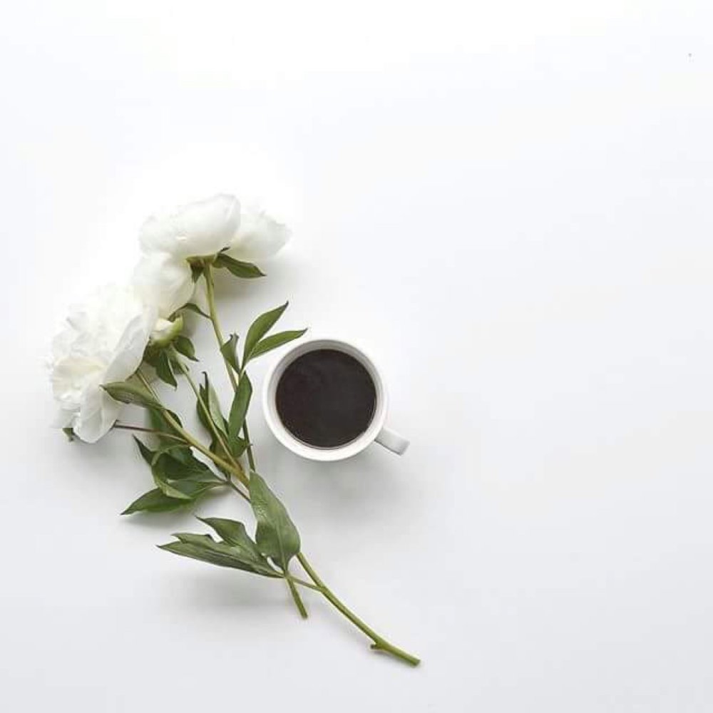 Цветы Минимализм