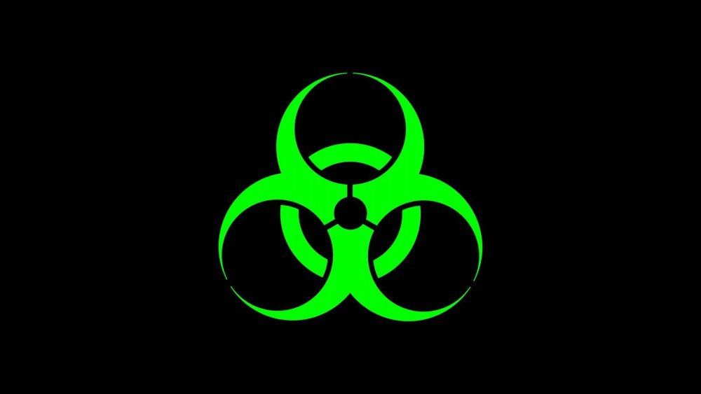 Biohazard 4