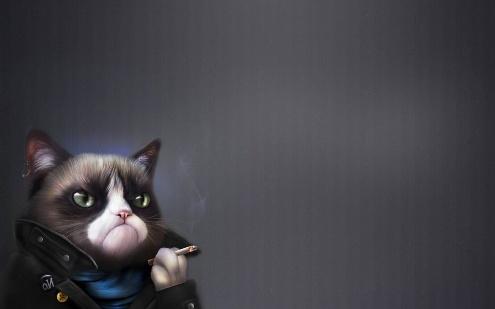 Крутые коты