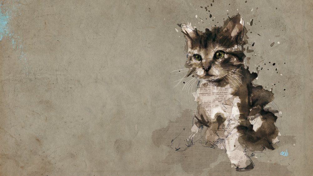 Обои с котиками